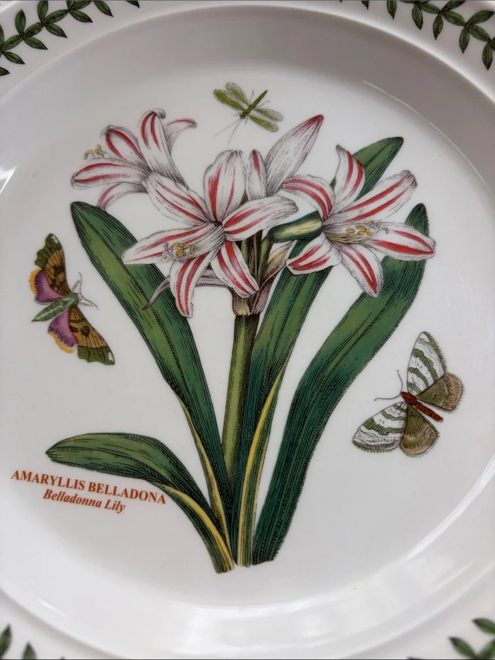 Portmeirion Botanic Garden 4 Salad plates